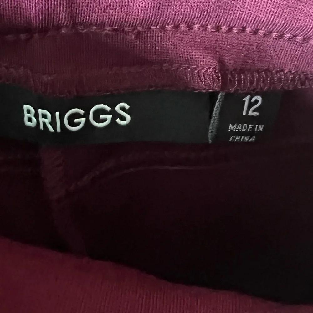 🟠BRIGGS Jegging in Wine Sz 12
